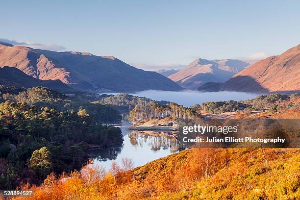 low autumn mist at dawn in glen affric - see loch duich stock-fotos und bilder