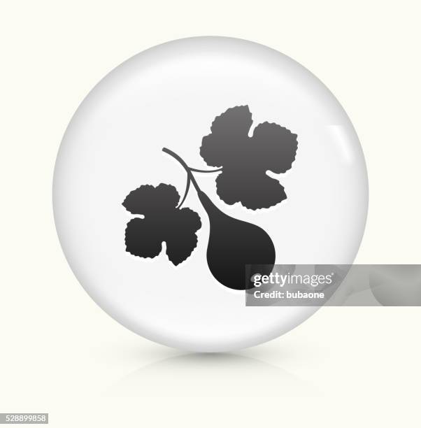fig fruit icon on white round vector button - fig tree stock illustrations
