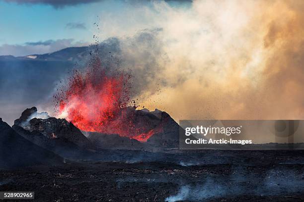 eruption, holuhraun, bardarbunga volcano, iceland - vulkaanlandschap stockfoto's en -beelden