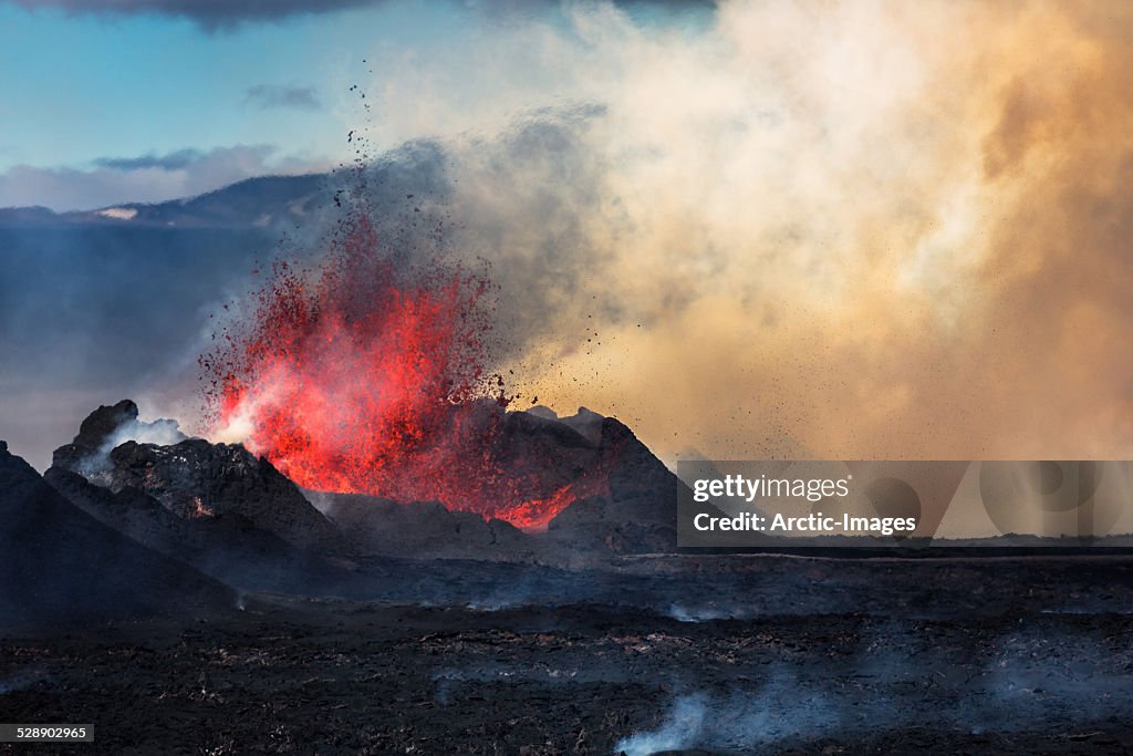 Eruption, Holuhraun, Bardarbunga Volcano, Iceland
