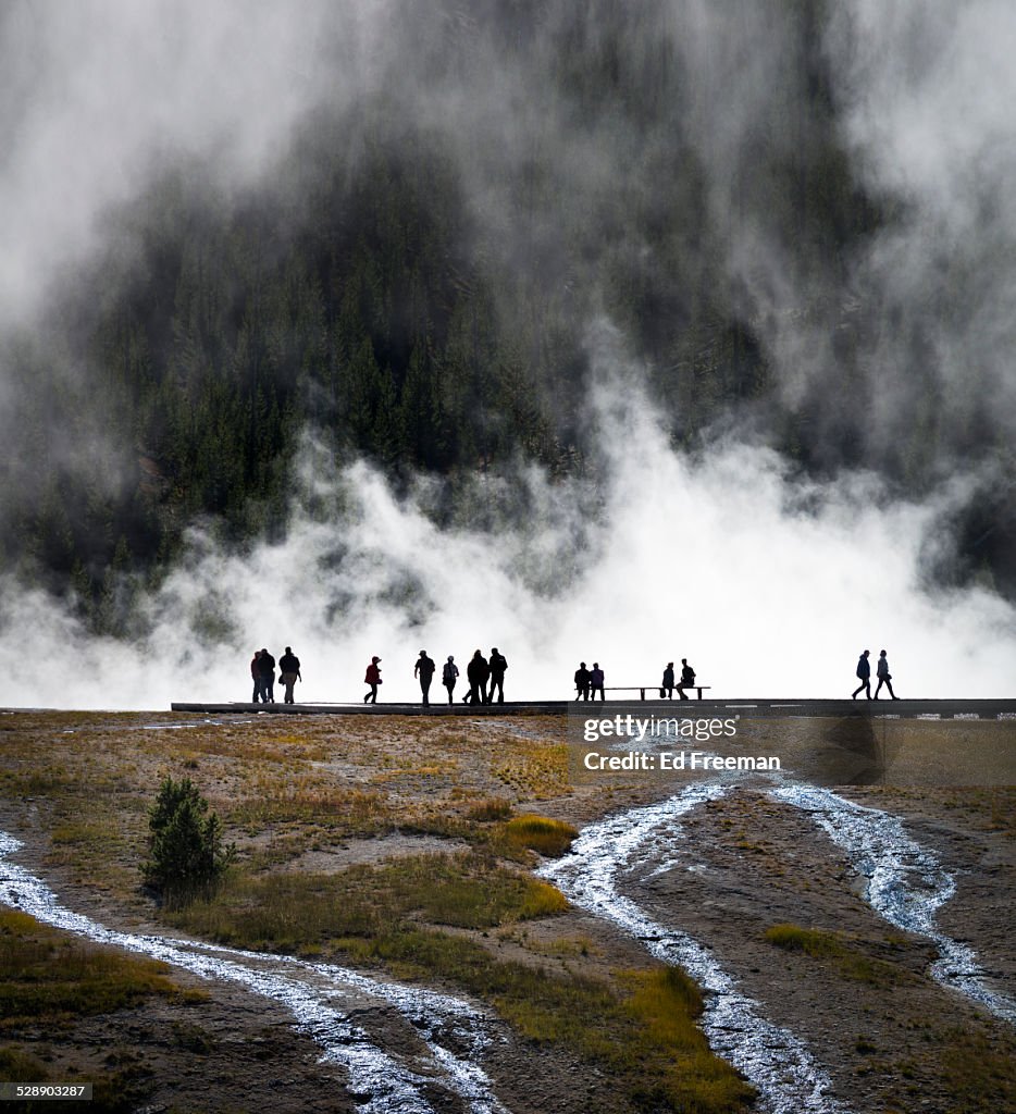 Hot Spring, Yellowstone National Park