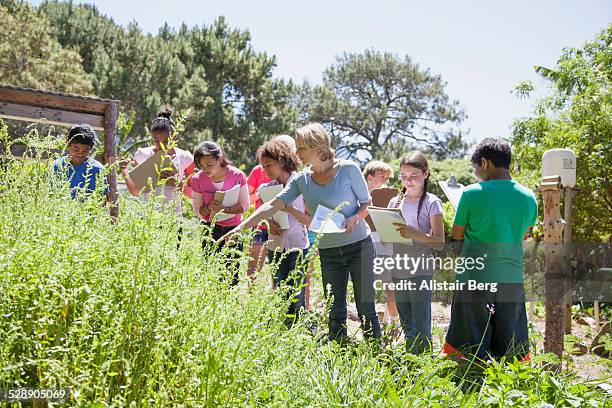 children on a school field trip in nature - viagem-de-estudo imagens e fotografias de stock