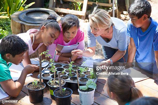 children on a school field trip in nature - educação ambiental imagens e fotografias de stock