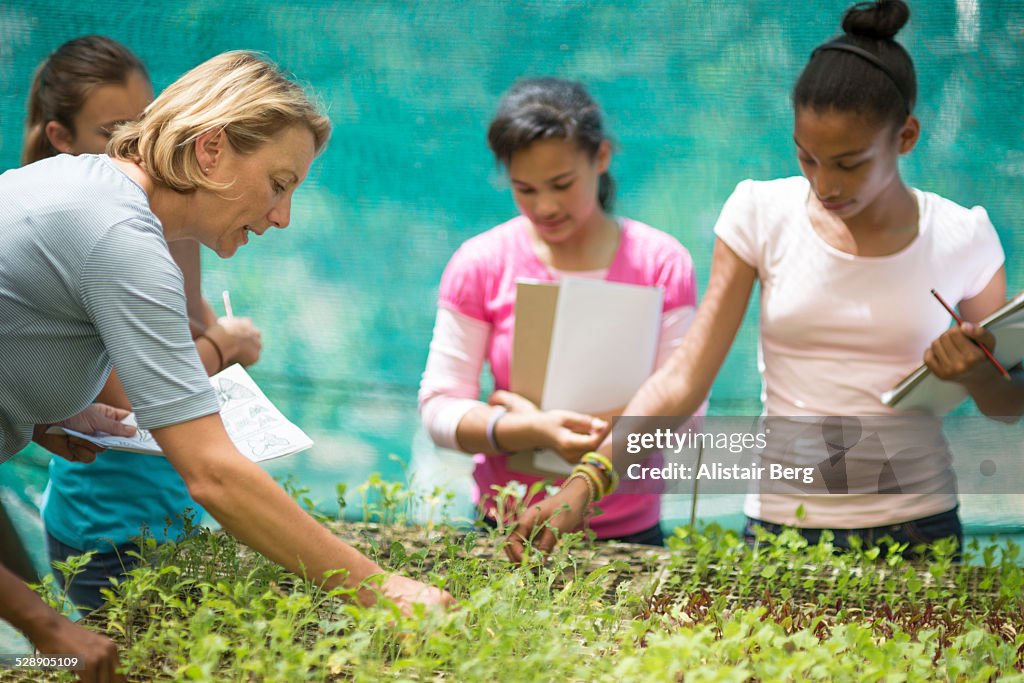 Children on a school field trip in nature