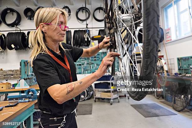 woman repairs bicycle - netherlands women stock-fotos und bilder