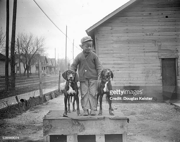Portrait of a young boy, his cardigan buttoned crookedly, poses with two dogs atop a doghouse in a yard, Lincoln, Nebraska, early 20th century.
