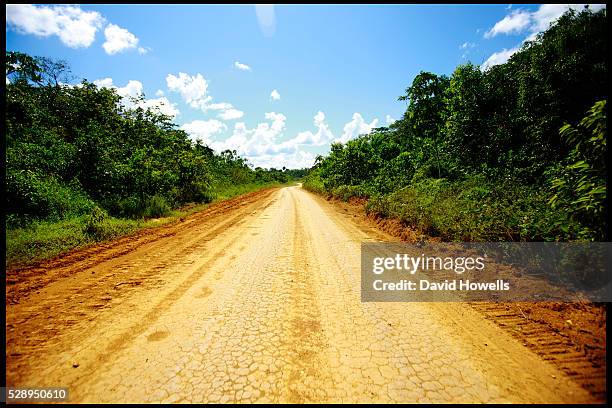 The road from Port Kaituma, about 1 mile from the site of present day Jonestown, Guyana, where the Jim Jones mass suicide occurred in which over 900...