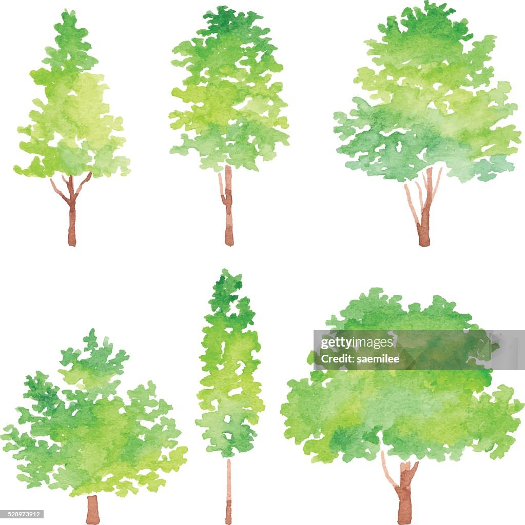 Ein Satz von Bäumen Aquarell