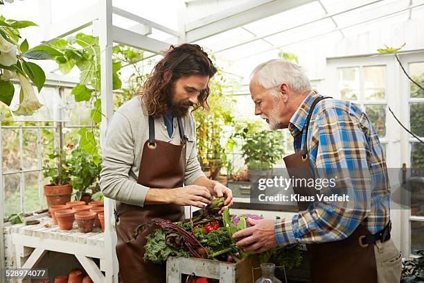 young & senior man looking at misc. vegetables - father and son gardening stock pictures, royalty-free photos & images