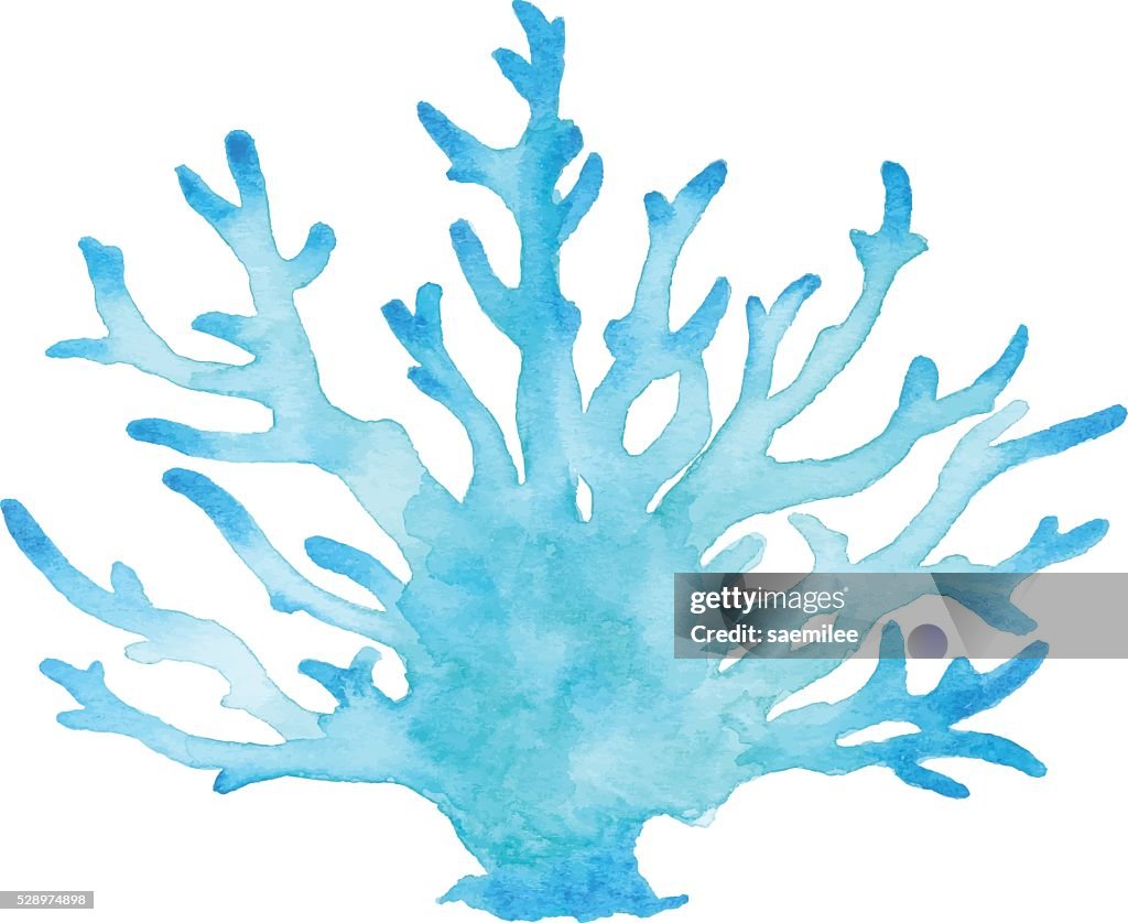 Koralle Aquarell Blau
