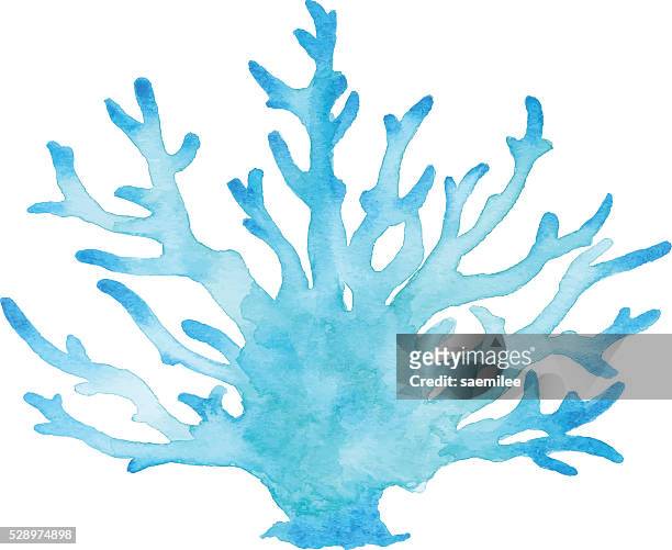 blue coral watercolor - aquatic organism stock illustrations