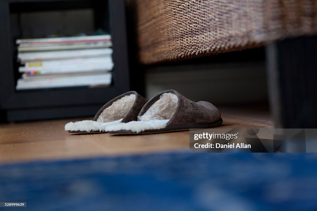A pair of furry slippers by a bed