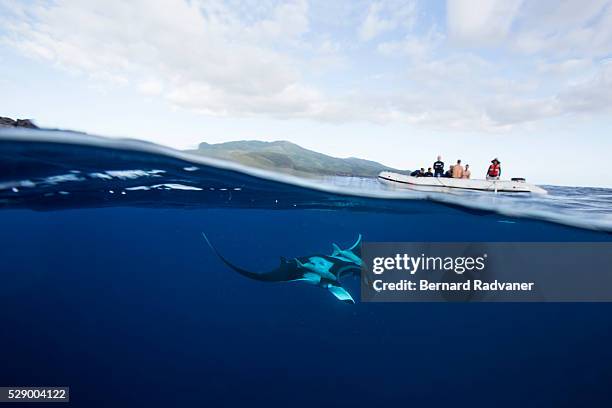 manta ray below a scuba diver boat - socorro island stock pictures, royalty-free photos & images