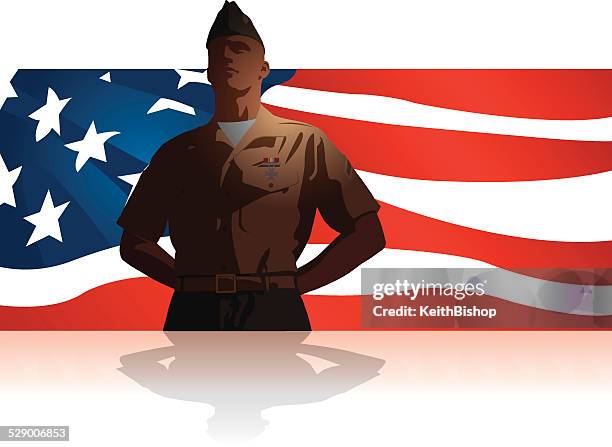 military soldier salute us flag background - gens stock illustrations