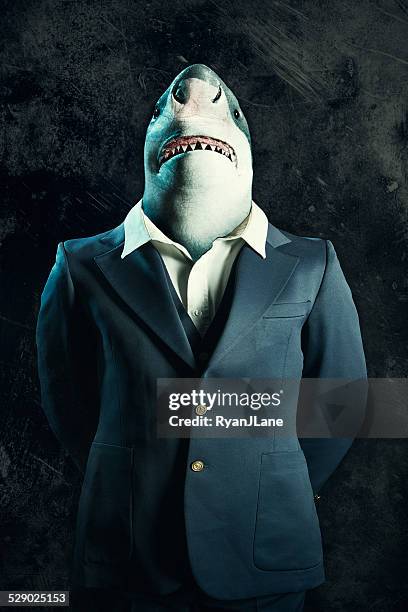 business loan shark - ugly animal stock pictures, royalty-free photos & images