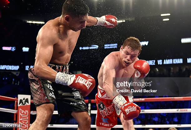 Canelo Alvarez delivers the knockout punch to Amir Khan during the sixth round of their WBC middleweight title fight at T-Mobile Arena on May 7, 2016...