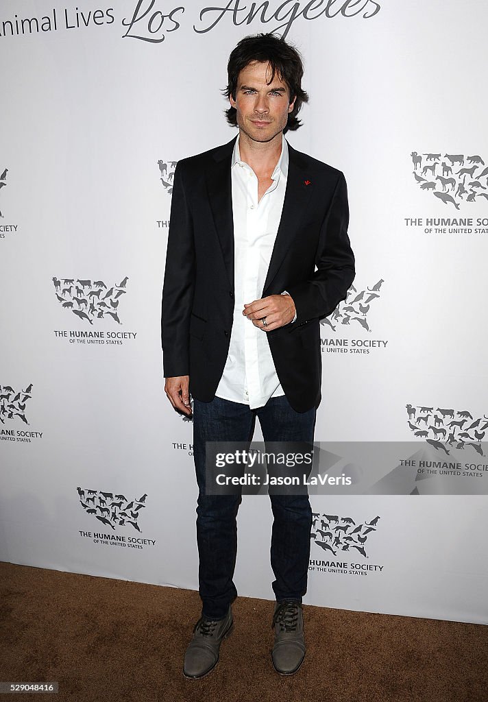 The Humane Society Of The United States' To The Rescue Gala - Arrivals