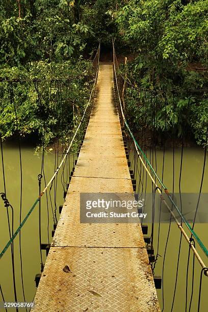 narrow bridge over creek, drake bay, corcovado - osa peninsula stockfoto's en -beelden