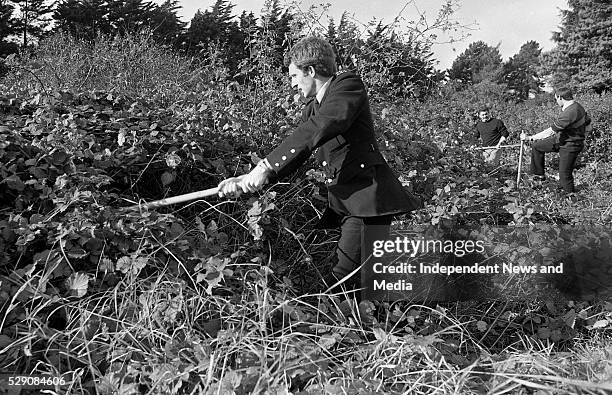 Gardai search the area around the Dodder between Templeogue and Tallaght in their efforts to find 13 year old Philip Cairns. 28/10/86 1086-633b . .