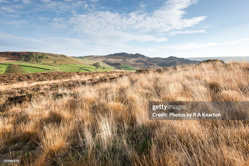 View to Ramshaw Rocks over moorland grasses