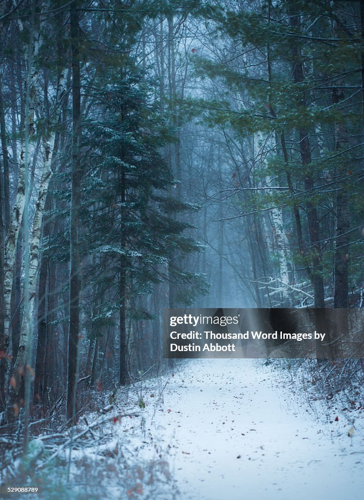 Down Winter's Path