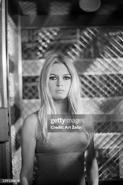 Brigitte Bardot portrait; circa 1970; New York.