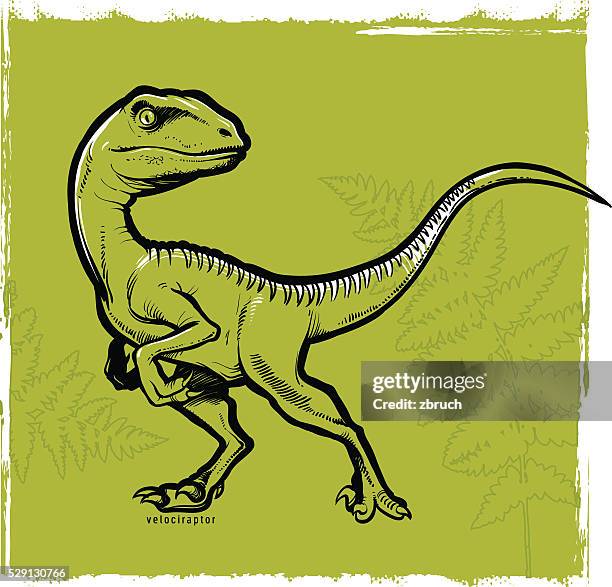 illustrations, cliparts, dessins animés et icônes de vélociraptore - dromaeosauridae