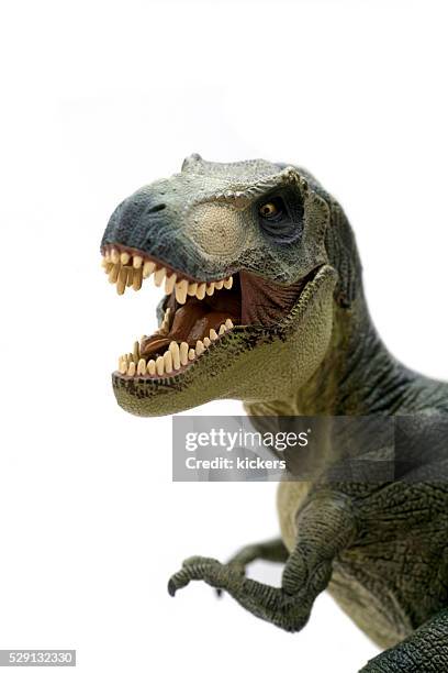 tyrannosaurus rex plastic model portrait - tyrannosaurus rex stockfoto's en -beelden