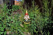 Gnome Disgusted by Overgrown Yard
