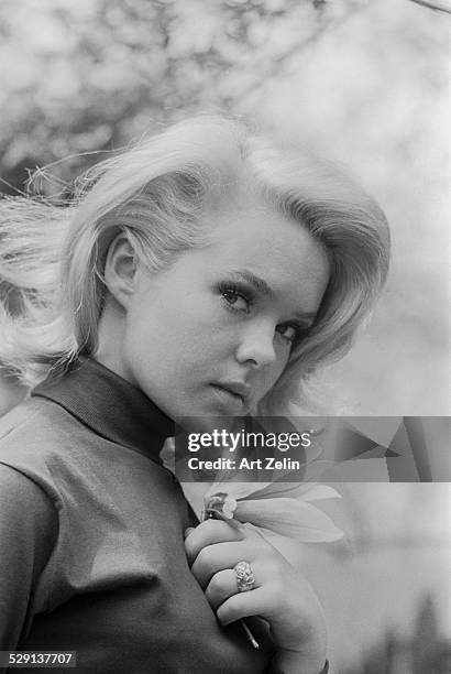 Joey Heatherton, close-up, holding a flower; circa 1970; New York.