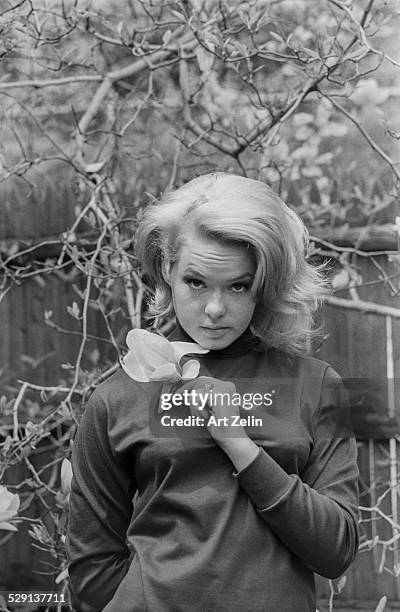 Joey Heatherton, close-up, holding a flower; circa 1970; New York.