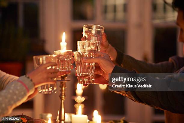 family toasting at dinner with candle lights - candela attrezzatura per illuminazione foto e immagini stock