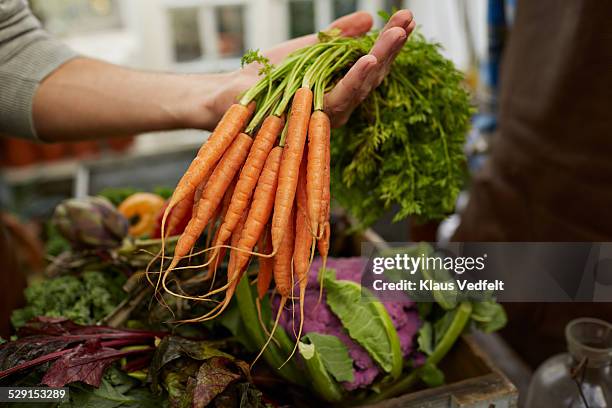 close-up of hand holding bundle of carrots - möhre stock-fotos und bilder