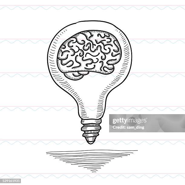 sketch,bulb, cerebrum, creative, - brain sketch stock illustrations