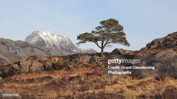 slioch - grant glendinning stock-fotos und bilder