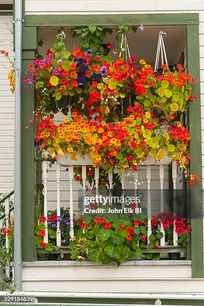 house with nasturtium flowers - nasturtium fotografías e imágenes de stock