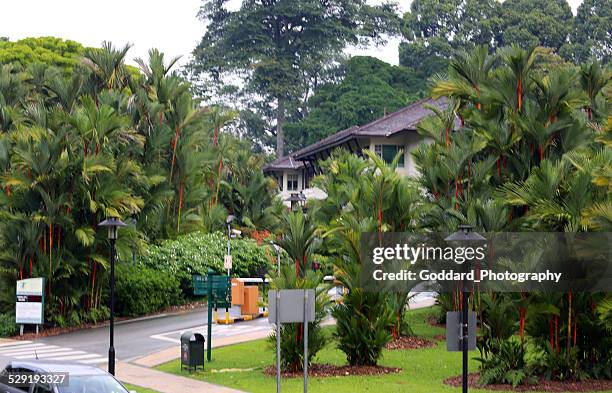 singapore: residential street - singapore botanic gardens stock pictures, royalty-free photos & images