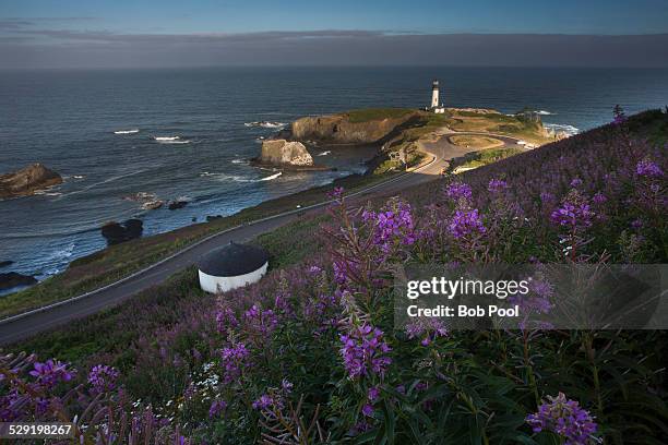 178 Yaquina Head Light Stock Photos, High-Res Pictures, and Images ...