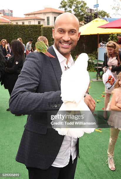 Keegan Michael-Key attends the after party for the premiere Of Sony Pictures' "Angry Birds" on May 7, 2016 in Westwood, California.