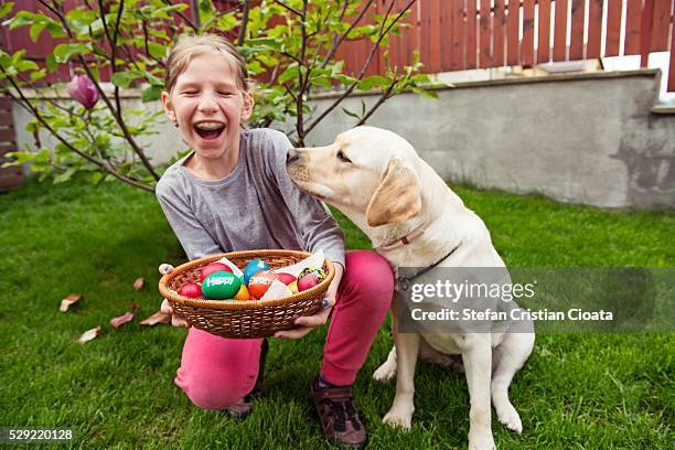 happy easter - dog easter stock-fotos und bilder