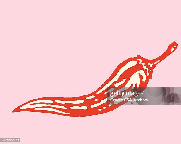 illustrazioni stock, clip art, cartoni animati e icone di tendenza di pepe - peperoncino