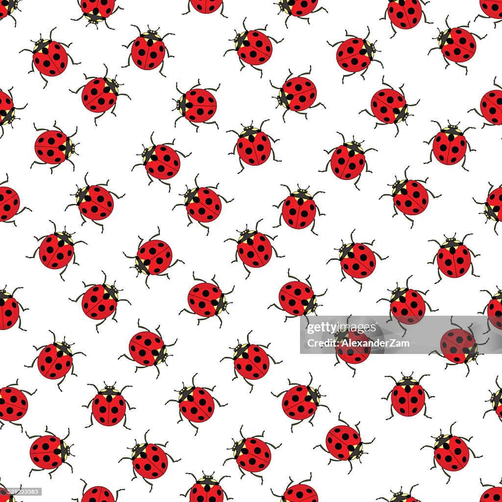 Ladybug Real Pattern Ladybug Pattern High-Res Vector Graphic - Getty Images