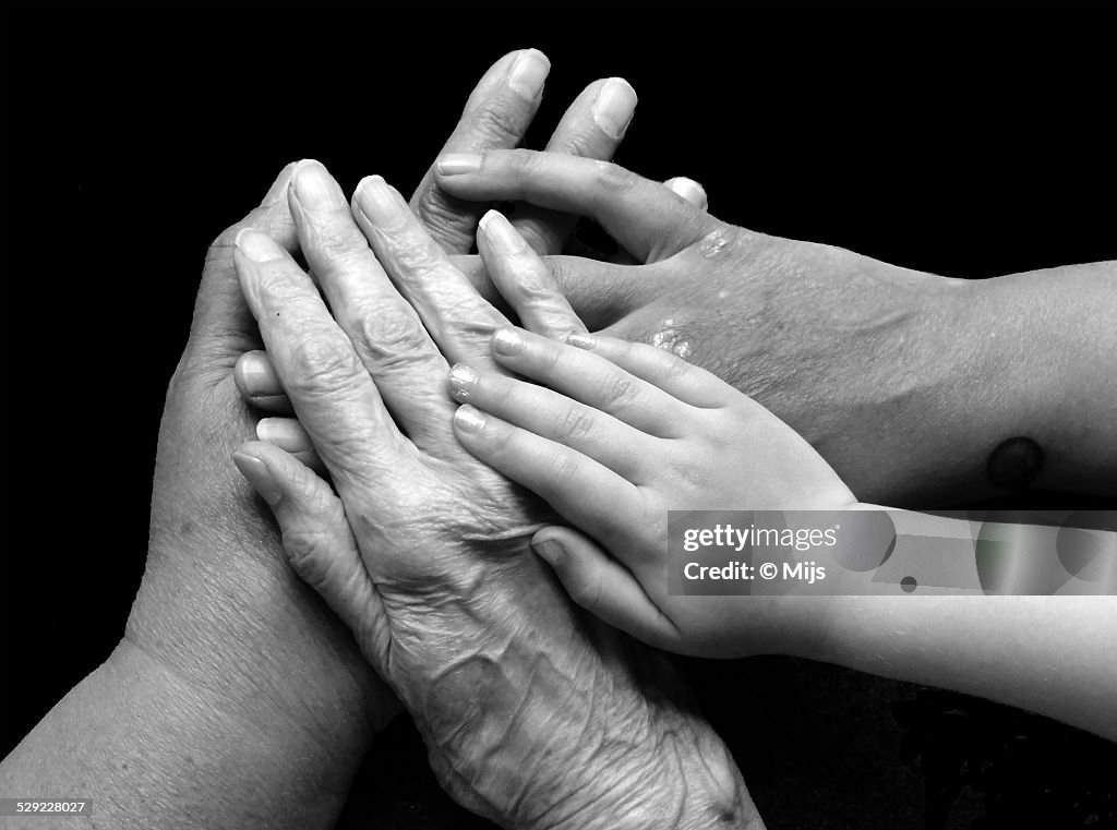 Four generations female