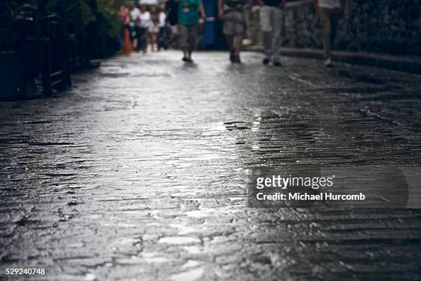 Rain soaked cobblestone street in Old Quebec, Quebec