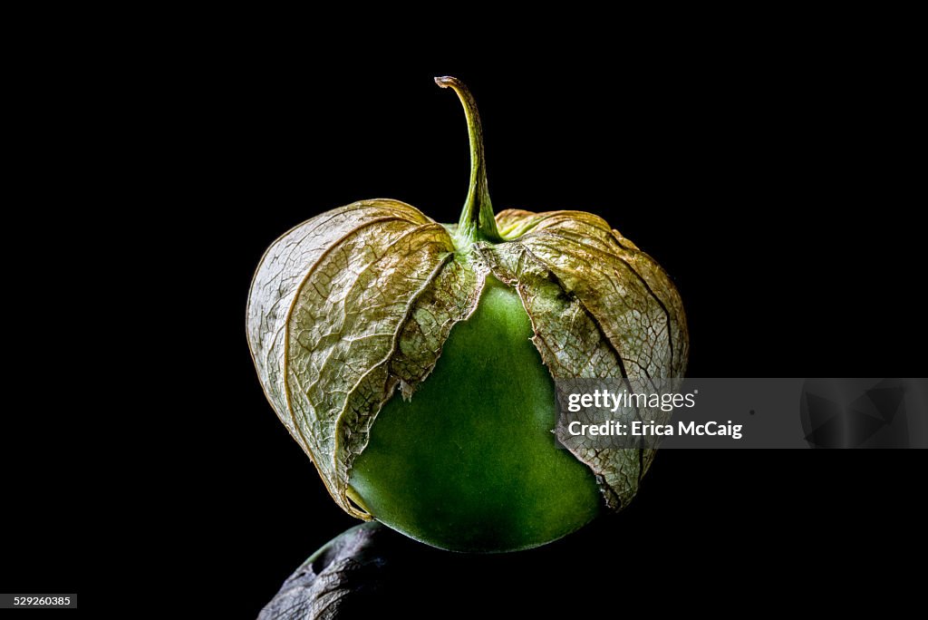 Tomatillo isolated on black background
