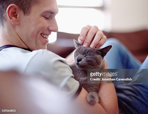 man petting russian blue cat - russian blue cat stock pictures, royalty-free photos & images
