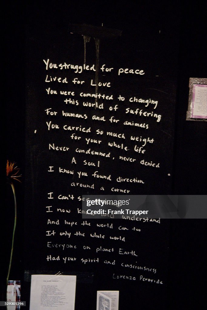 TRIBUTE TO RIVER PHOENIX IN FRONT OF 'THE VIPER ROOM'