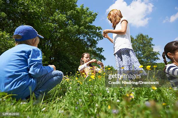 group of friends making floral crown, munich, bavaria, germany - flower crown stock pictures, royalty-free photos & images