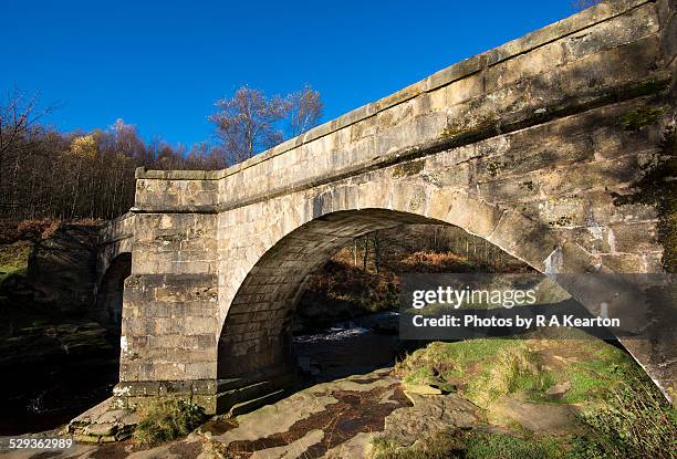 slippery stones, packhorse bridge, derbyshire - パックホースブリッジ ストックフォトと画像