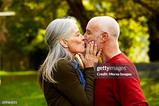 senior couple kissing at park - bisous photos et images de collection